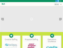 Tablet Screenshot of blrholdingsinc.com
